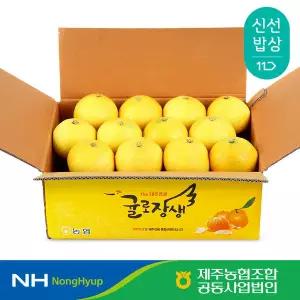 [제주농협] 귤로장생 황금향 4kg 소과(21-31입)