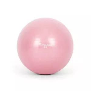 마사지짐볼 55cm 와일드핑크 임산부 홈트 밸런스볼