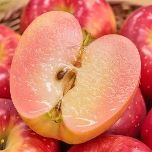 피치애플 2kg 해나미 엔부사과 복숭아향 상큼달콤 희소품종 가정용 정품
