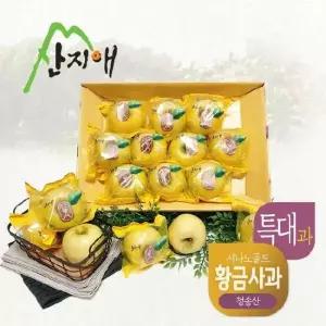 산지애 황금사과 시나노골드 3kg 1box / 특대과 청송산 당도선별 12brix 150287