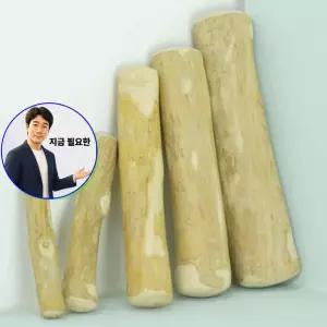 지금 필요한 강아 1P 커피트릿 장난감 커피나무 개껌 반려견 XL