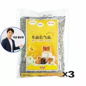 지금 필요한 영양사료 X3 기니피그 다람쥐 해바라기씨 햄스터 380g