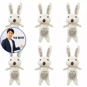 지금 필요한 반려견 토이 XS 6P 바니 강아 애착인형 장난감 니트