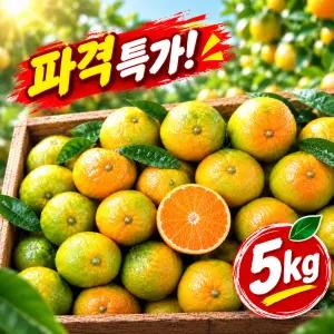 산해식탁 제주 서귀포 노지 극조생귤 청귤 감귤