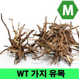 WT 가지유목 M (15~25cm)/ 수족관 어항 장식품 수초 모스 활착 레이아웃 나무 구피 열대어 은신처 뿌리