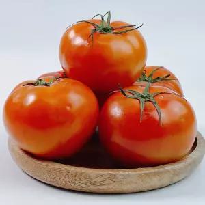 국내산 완숙 토마토 5kg