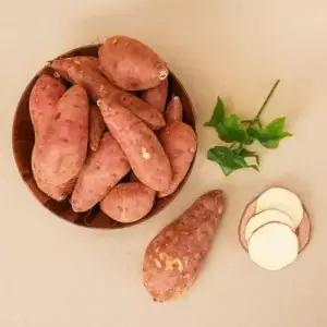 [바로 수확해서 보내드립니다] 26년 황토 햇 꿀밤고구마 못난이혼합 2kg (개당 50-300g)