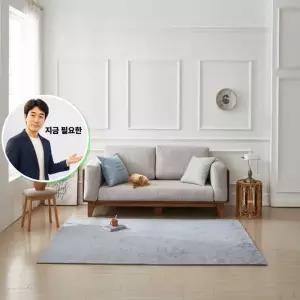 지금 필요한 사각 거실러그카페트 소형 100x150cm 셔닐발수러그