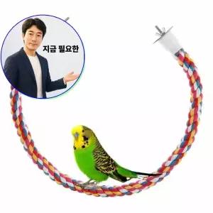 지금 필요한 컬러로프 장남감 80cm 횃대 휴식공간 1P 그네 앵무새