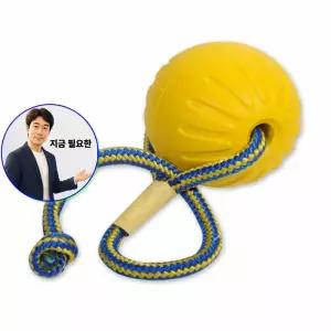 지금 필요한 판타스틱 폼볼 반려견토이 미디엄 로프 마크