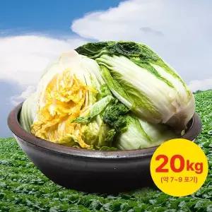 [자연애][품질보장] 영월 고랭지 절임배추 20kg(7~9포기)