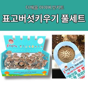 표고버섯키우기 표고 버섯 키우기 키트 집에서 배지 재배방법 더채움