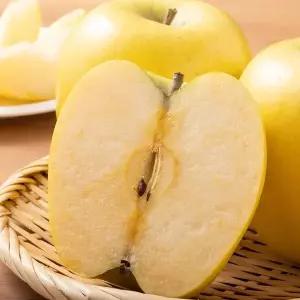 국내산 가정용 시나노골드 노란사과 대과 2kg 8-9과