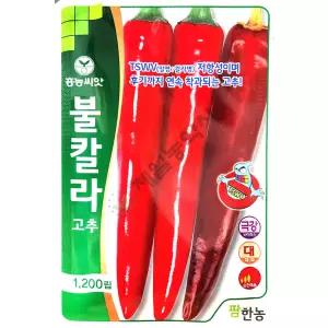 불칼라 1200립 팜한농 26년 고추씨앗