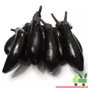 가지 5Kg (상) 8561304