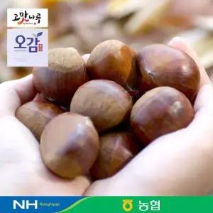 전대표  농협선별 공주 알밤 특사이즈 2kg
