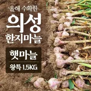 의성마늘 2026년산 햇마늘 왕특 1.5kg 마늘 농사 3대째 8581821