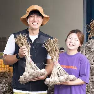 26년 토종 의성마늘 특 한접 100개