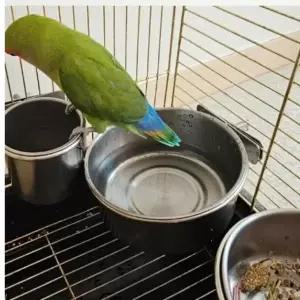 반려새 걸이형 스텐 앵무새 모이통 중 앵무새먹이통 새물통걸이형