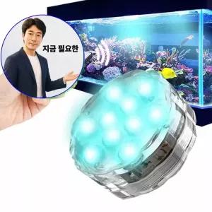지금 필요한 파티용품 수영장 리모컨 LED조명 어항 분수 수족관
