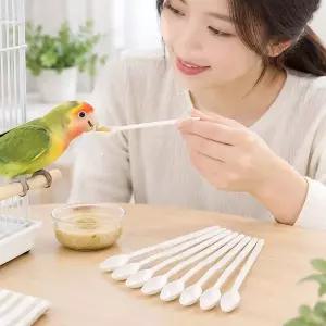 새 이유식 급여용 앵무새 먹이 스푼 10개 앵무새용품 새용품