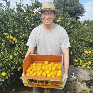 제주귤왕 효돈 농장 노지귤 가정용 로얄과(S~M) 3kg