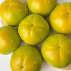 태추단감 대과 5kg (20과 내외)