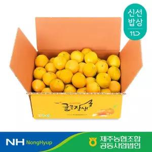 [제주농협] 귤로장생 하우스감귤 2.5kg 소과(2S 이하)