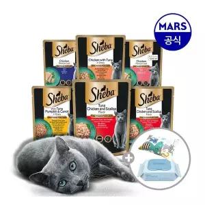 쉬바 파우치 24개 골라담기+캣닢쿠션+베베숲물티슈1팩