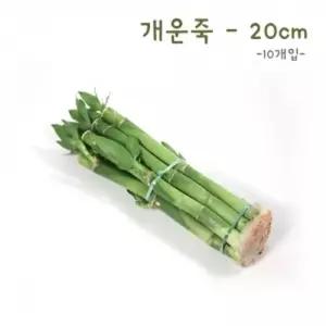 [에코키즈] 개운죽 20cm-10p