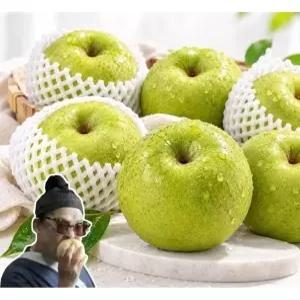 동명팜 이영자 초록 배 국산 그린시스배 신품종