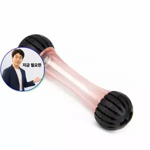 지금 필요한 흥미유발 토이 1P 장난감 강아 스퀴즈 레드 간식볼