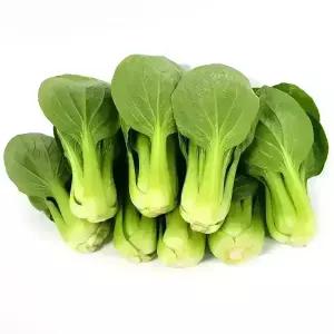 청경채 4kg 원물 최상급 안전포장 국내산 신선한 나물 반찬 쌈채소 샤브용 청경채 (CS불가상품)