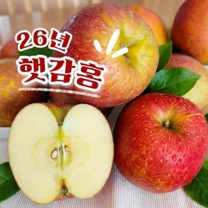 [26년 수확] 가정용 꿀사과 감홍사과 2kg 중과 7~9과