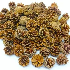 추석만들기 가을만들기 가을조화 솔방울 만들기수업 가을모빌 1kg 나무소품 가을소품 (중)