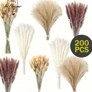 200PCS 팜파스 잔디 말린 꽃 Boho 장식 홈 농가 웨딩 룸 테이블 꽃다발 토끼 꼬리