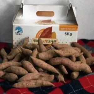 강화특산물 속노랑 호박고구마 5kg 중 사이즈(200~300g)