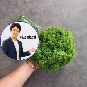 지금 필요한 50g 화분 조화 DIY 테라리움 장식 이끼