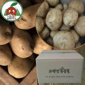 청정 영주소백산감자 구하기 힘든 햇 두백감자 5kg_대+특 혼합 밭에서 식탁으로 8603997