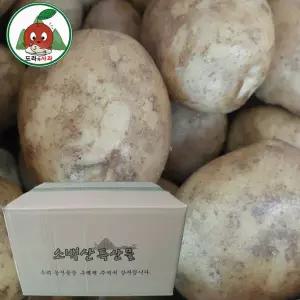 영주소백산 감자 구하기 힘든 햇 두백감자 10kg 대+특 혼합 산지직송 8603897