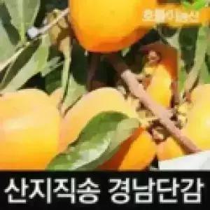 경남 햇단감 단감 과수랜덤 혼합과 10kg