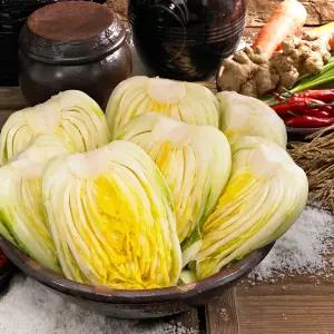 (출고일지정) 소백산 고랭지 절임배추 20kg (10/26~12/11 출고)