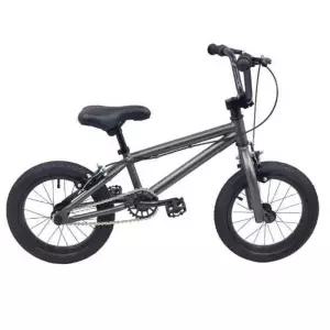 BMX 자전거 비엠엑스 티타늄 선데이 바이크 전문가
