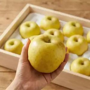 국내산 시나노골드 사과 노란사과 시나노골드 5kg (21-26과/중과/가정용)