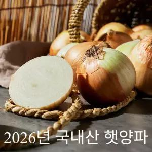 [2026년 국내산 햇양파 (소)사이즈 10kg] 단단한 속살과 고른 결을 지닌 제철 식재료 (장아찌용)