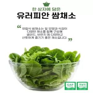GAP 무농약 유러피안 샐러드 상추 유럽상추 1kg (3-5종)