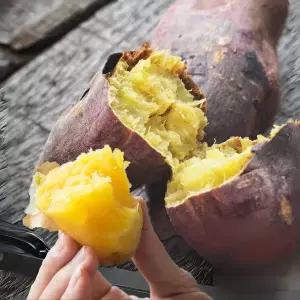 [아빠의 마음]26년 햇호풍미고구마 꿀 밤 고구마 3kg 5kg 8613432