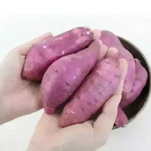 [팔도농장] 산 세척 꿀 밤호박고구마 (중)3kg 8613228