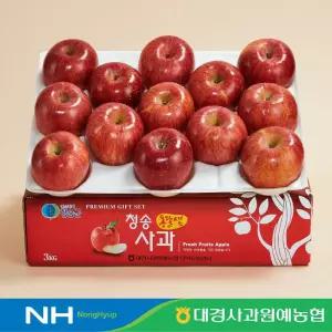 [대경사과원예농협] 청송 부사사과 3kg 12-15과 정품/가정용