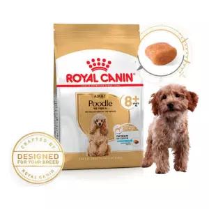 (1.5kg) 로얄캐닌 푸들 어덜트 8+/강아지/사료/애견/개사료/대형견/진돗개/진도개/반려견/노령견/노견/애완